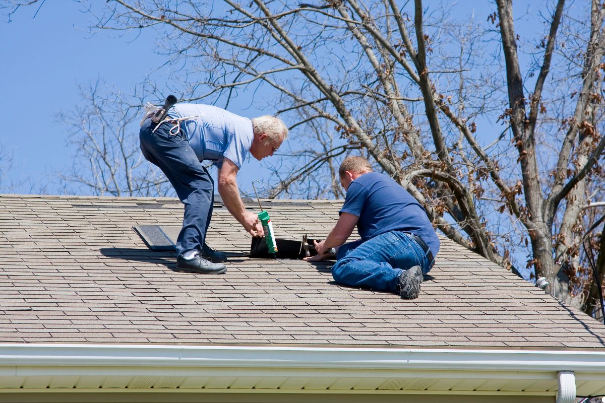 Two men are on a roof, using a ladder to perform maintenance work.